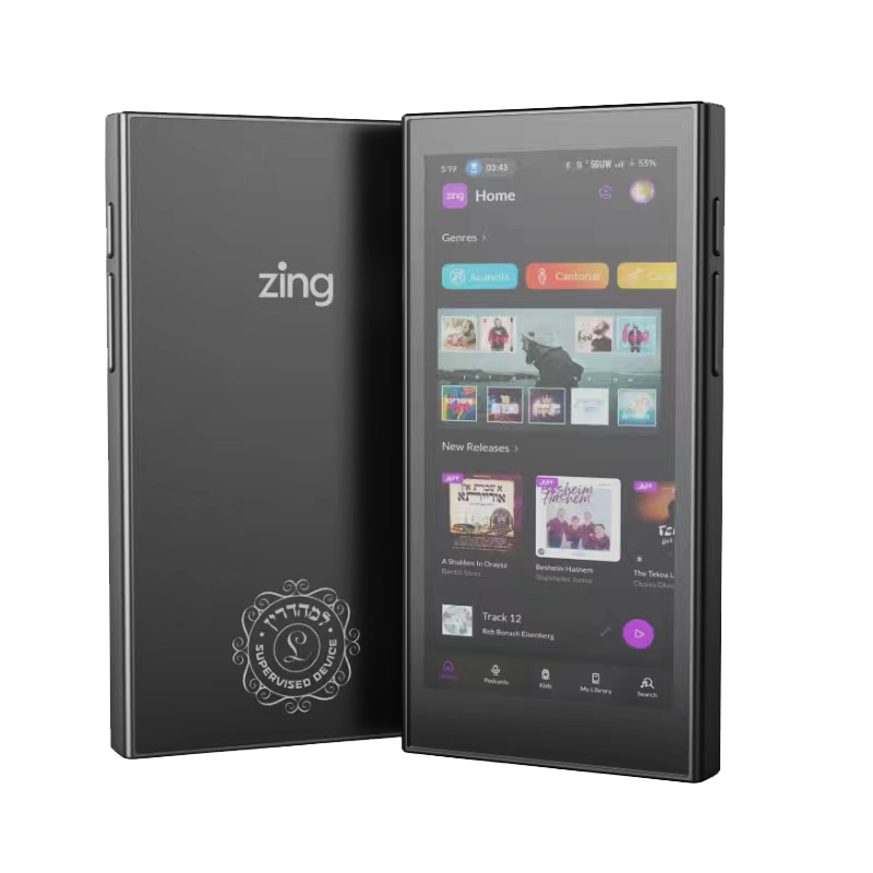 Zing MP3 Device
