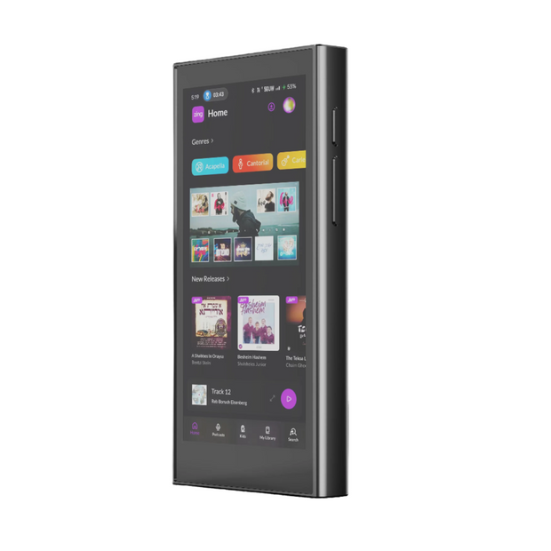 Zing MP3 Device
