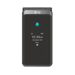 Fig Flip II Pro