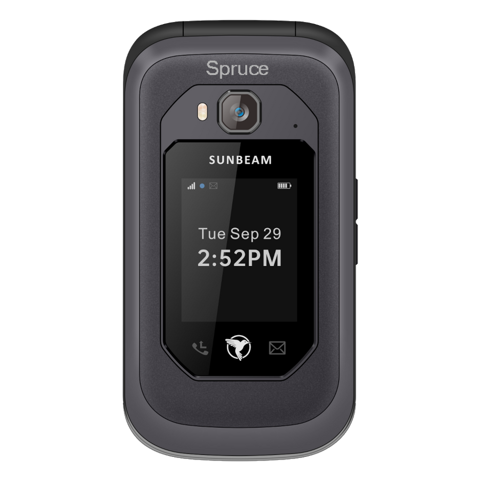 Sunbeam F1 Pro