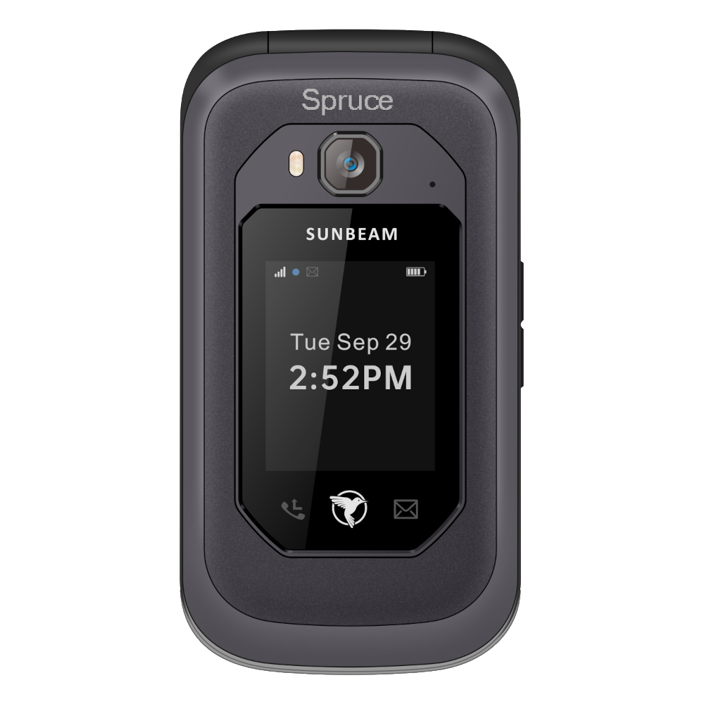 Sunbeam F1 Pro