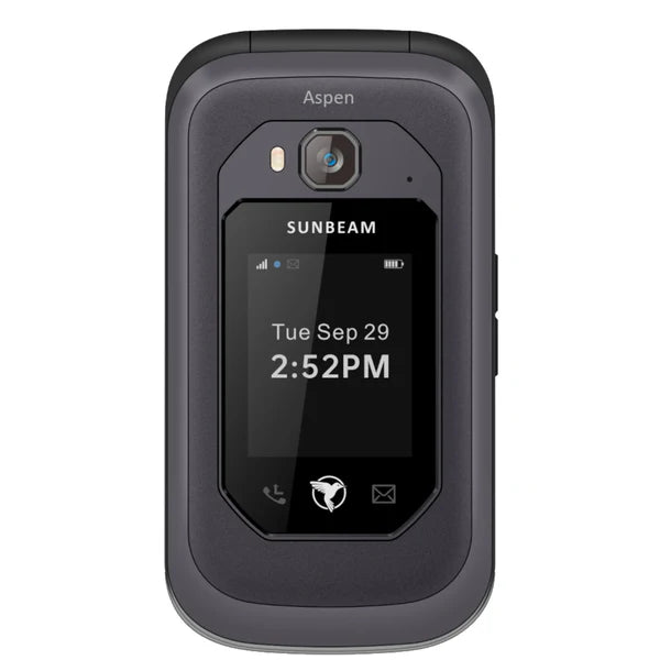 Sunbeam F1 Pro
