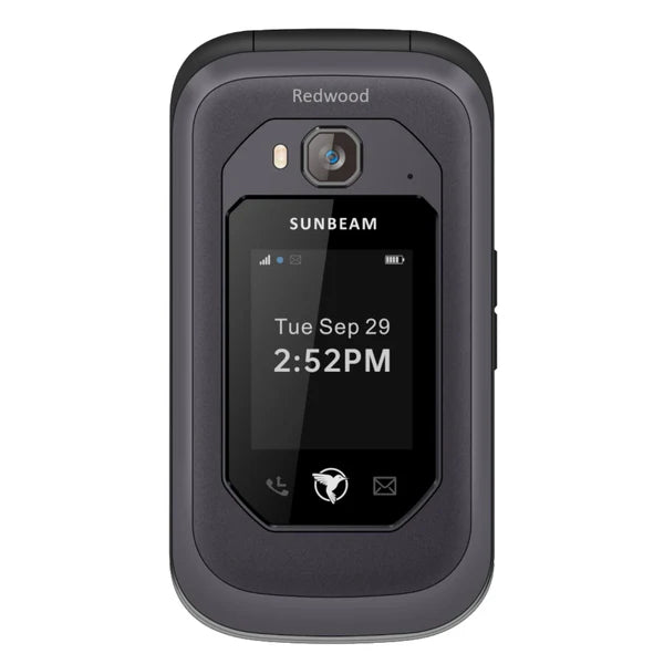 Sunbeam F1 Pro