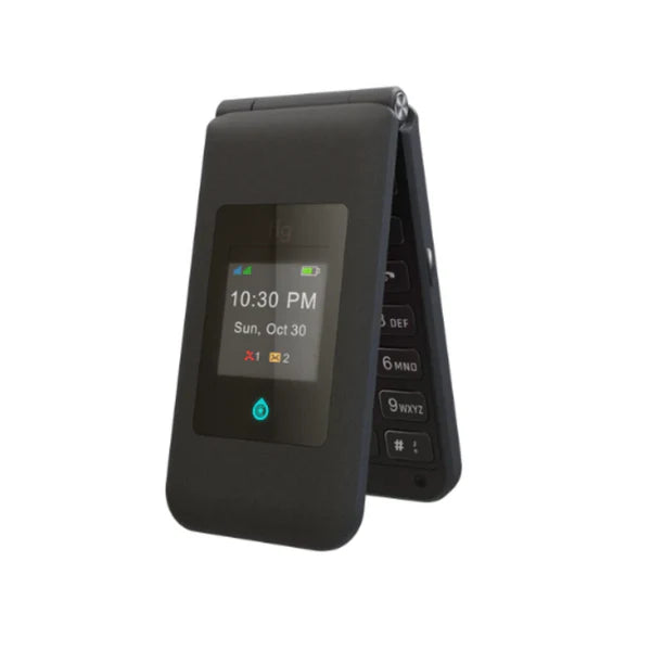 Fig Mini