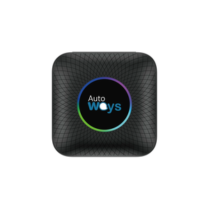 MP3 & Waze Devices