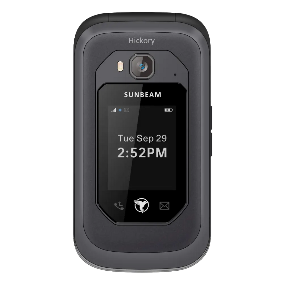 Sunbeam F1 Pro