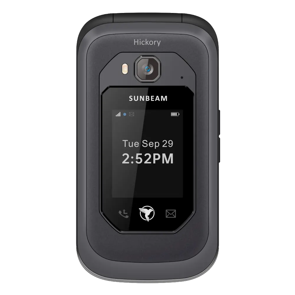 Sunbeam F1 Pro